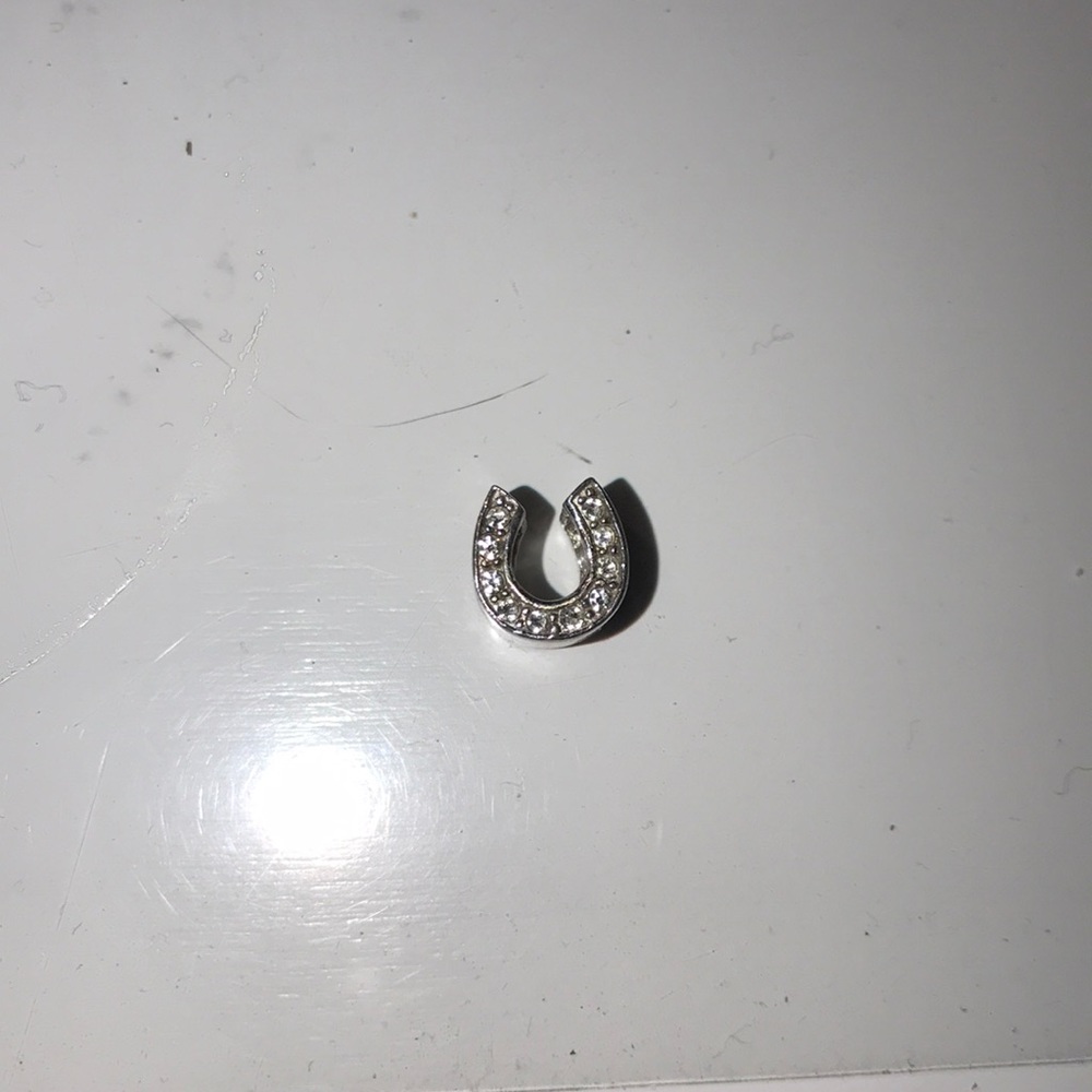 Pandora Bracelet Charm